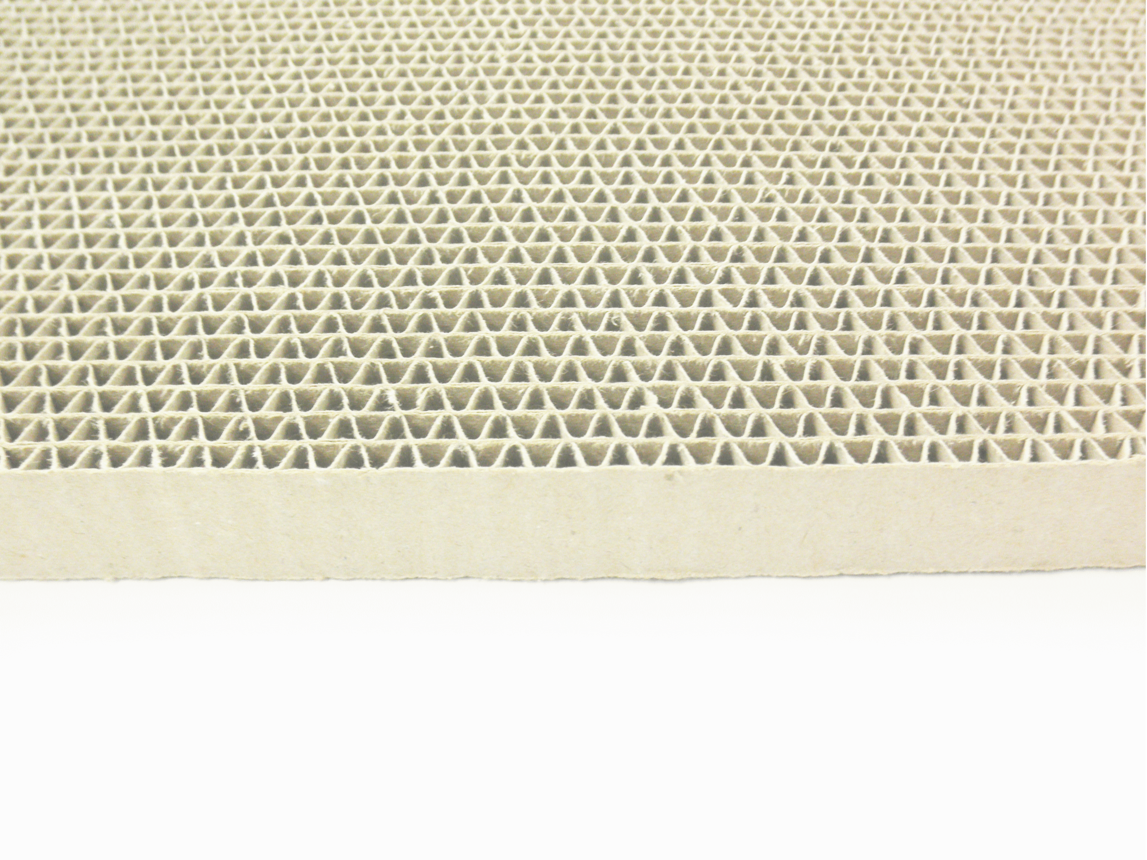 ○○○○○○○○イメージ