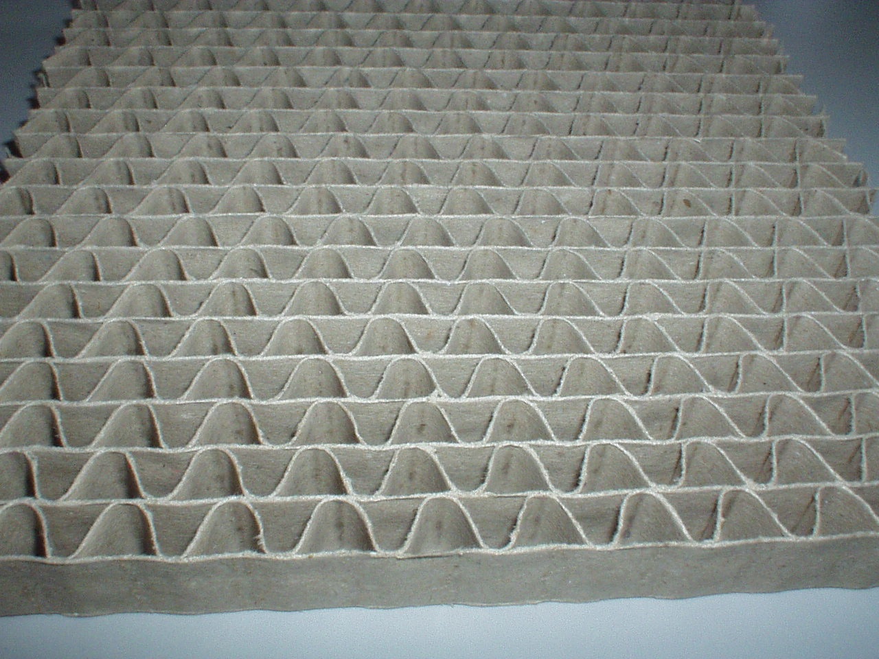 ○○○○○○○○イメージ